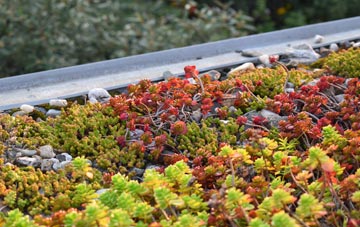 the cost of Llanteg green roof installation