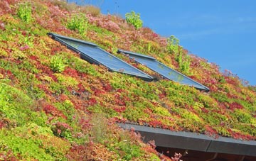 Llanteg living roof systems