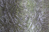 Llanteg fibreglass roof work